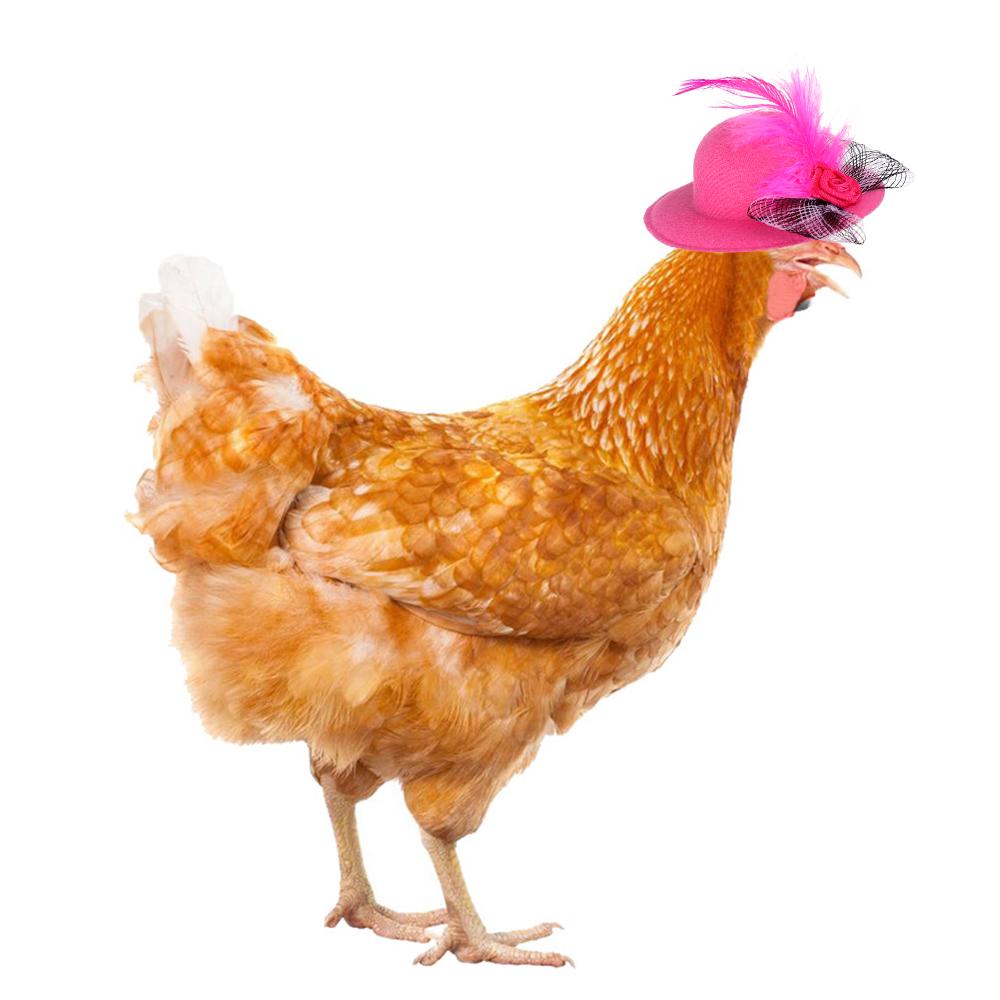 Poultry Stylish Show Costum Duck Rooster Feather Top Hat Cap for Hens Pets Supplies Chicken Hats