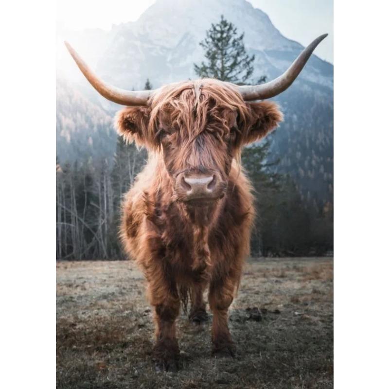 Scottish Highland Cow Wild Animal Nordic Nature Landscape Poster Canvas Painting Wall Art Pictures for Room Home Farmhouse Decor