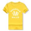 Wrexham Wales Welsh Dragon Flag Vintage T-Shirt Humor Funny Graphic Tee Short Sleeve Blouses Wrexham Wales Cymru Novelty Gifts