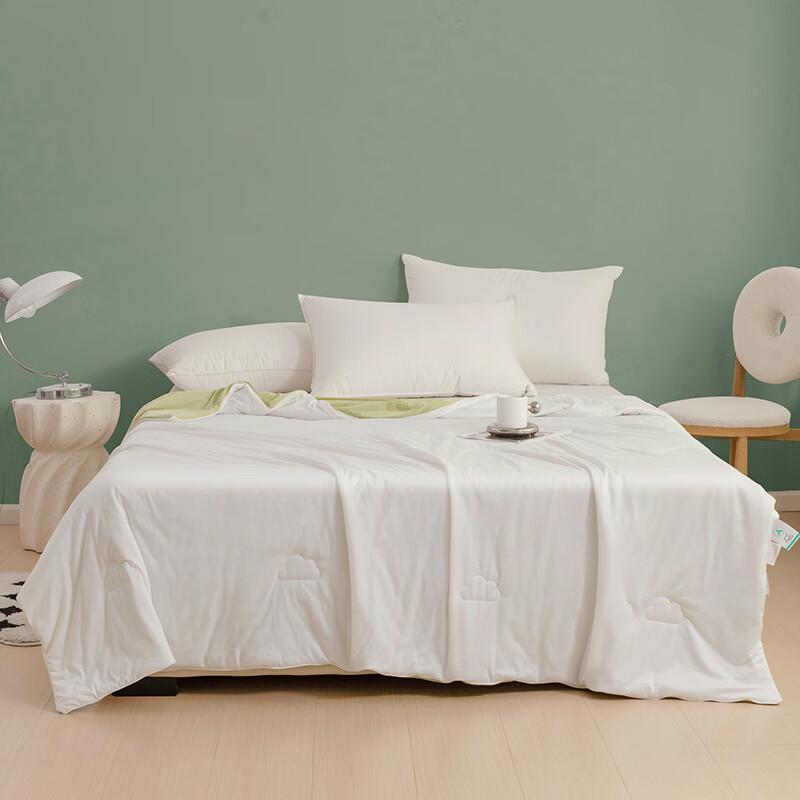 LISM Summer Breathable Thin Quilt