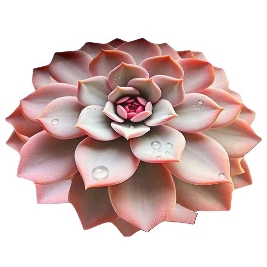 

Ковер с 3D-суккулентами 80/100 см, нескользящий, впитывающий, быстросохнущий, плюшевый коврик для пола 80cm B