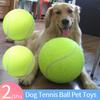 1/2Pcs 9.5 Inch Dog Tennis Ball Large Inflatable Tennis Balls Dog Chewing Interactive Toy Outdoor Cricket Pet Training Supplies