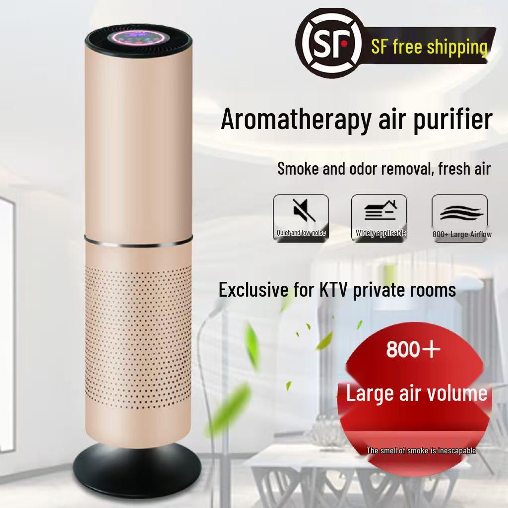 KTV Aromatherapy Air Purifier: Smoke Odor Removal  Sterilization Activated Carbon Filter - Mr. Fish.