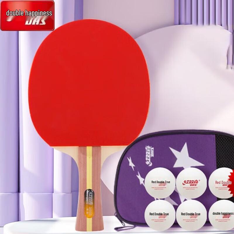 DHS 2-Star Shakehand Table Tennis Racket