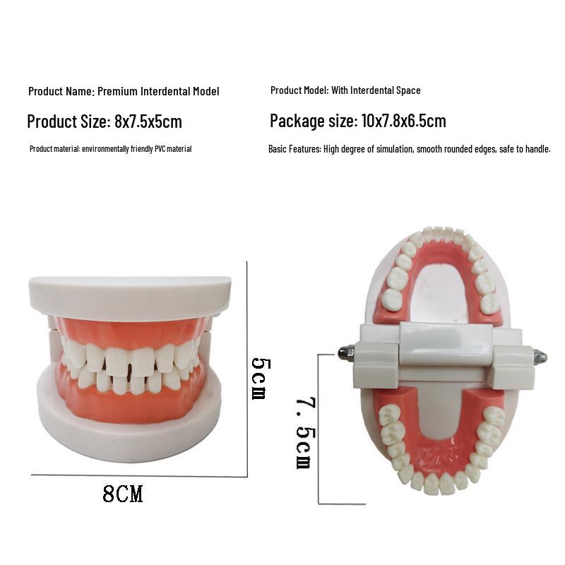 Dental Implant Teaching Model & Toothbrush Preparation Resin Mold