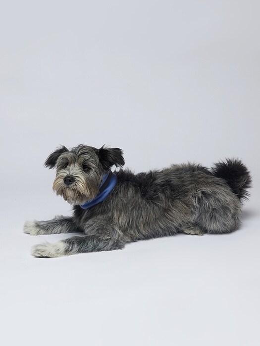 

heart earth art Double Neck Warmer Ochre Olive