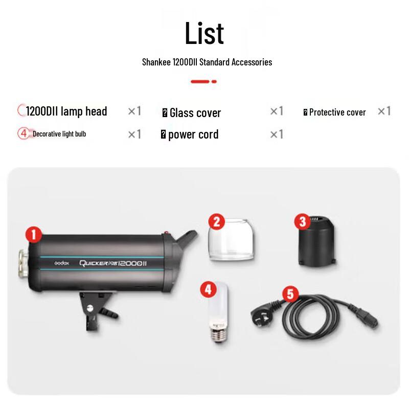 Godox SL1200DII Studio Flash Light Kit