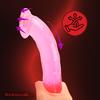 Dildo with Suction Cup Funny Gift for Girlfriend Wife Fake Penis DELICIOUSLY