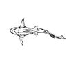 Minimalist Metal Shark Wall Art - Hollow Design