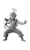Dragon Ball Z Zokei Tenkaichi Budokai China Tournament All 2 types set -GOGETA-