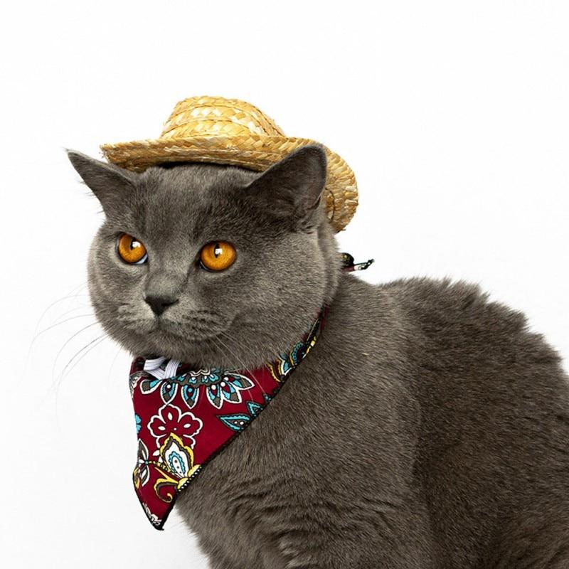 Hand-woven Straw Pet Cat Hat Straw 