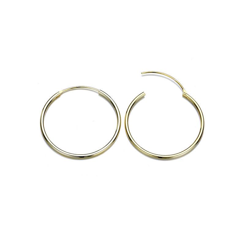 European Style Polished Stainless Steel Hoop Earrings for Women, Thin Small & Large Niche High-End Design Accessories.