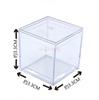 Mini Transparent Larval Spider Breeding Small Box Size Square