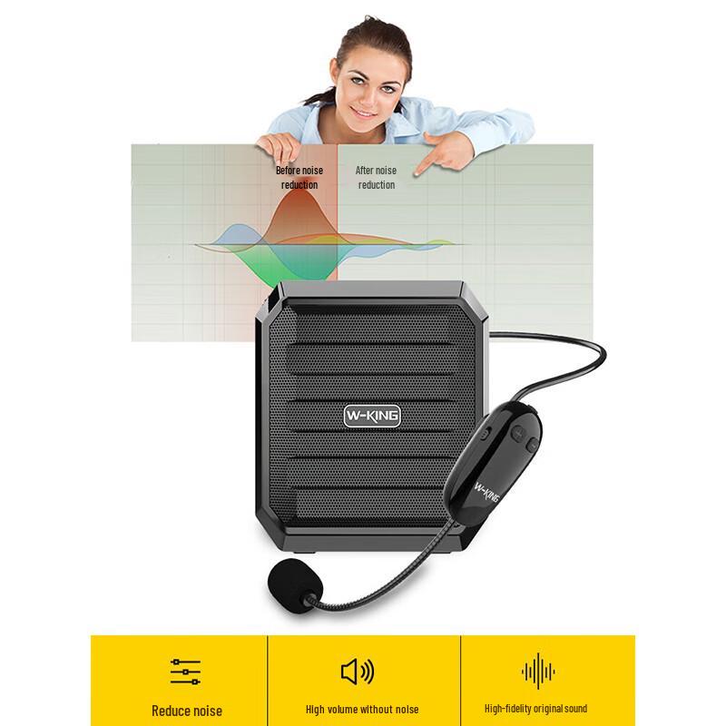 W-King KS10+ Portable Wireless Amplifier