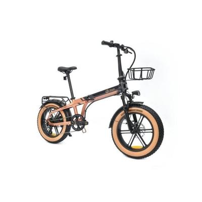 Elektrický bicykel YOUIN Dallas BK1650 Fat skladací 250W 60km hliník odpruženie 20"