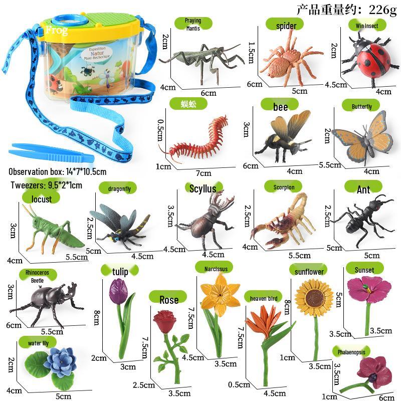 Large Insect Toy Set: Butterfly, Bee, Dragonfly, Ant, Cicada, and Rhinoceros Beetle Models for Kids