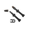 SCHWALBE Tubeless Valves (2-Pack) Presta/40mm Length [Parallel Import]