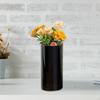 Zylindrische Vase für Hydrokulturpflanzen, Ideale Heimdekoration oder als Geschenk. Dekorativer Ständer