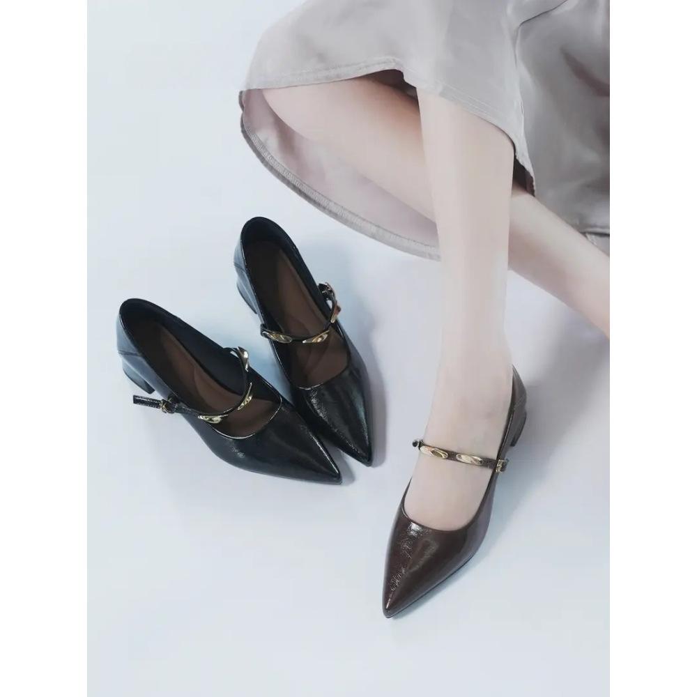 Pointed Single Shoes Women's 2025 Autumn New Mid-heel Thick Heel Shoes French Retro Fashion Versatile Mary Jane Small Leather Shoes