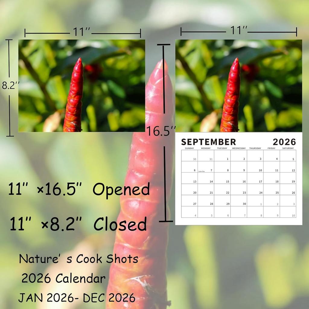 Gag Gifts - 2026 Wall Calendar, Funny Calendar, 8.5" x 11" (Open), Nature's Cock Shots Calendar with Fun Rock Photography, Dirty Santa Gift and White