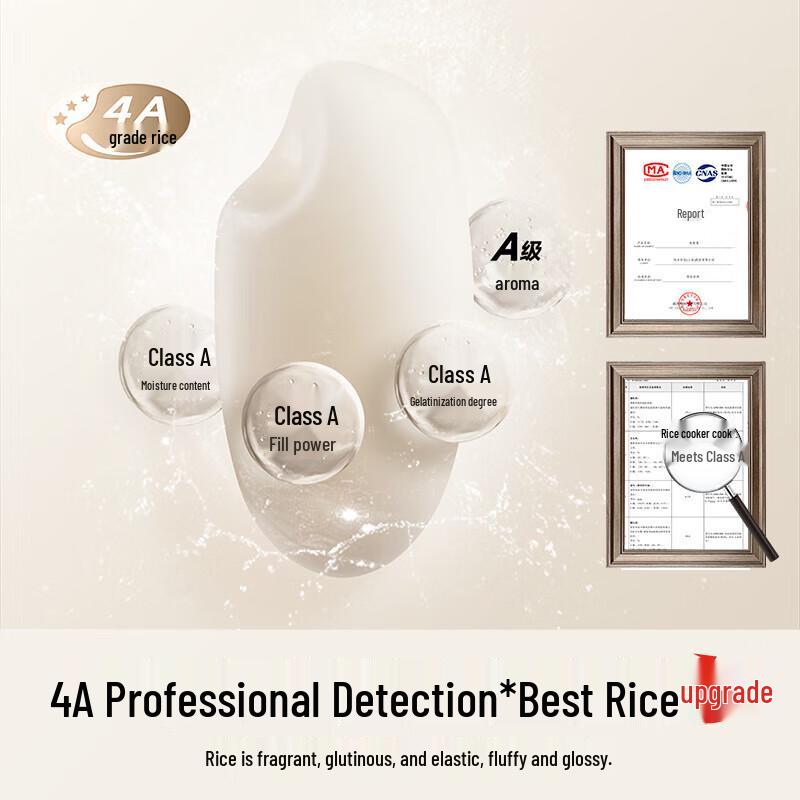 Xiaomi Mijia Mini Multi-function Rice Cooker N1 1.6L CN Plug (adapter Included)