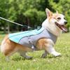 Dog Vest for Summer with Reflective Trim Breathable Mesh Vest for Shiba Inu Small Medium Dogs