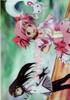 Clear File Puella Magi Madoka Magica Puella Magi Madoka Magica 10 (Exhibition) Archive X