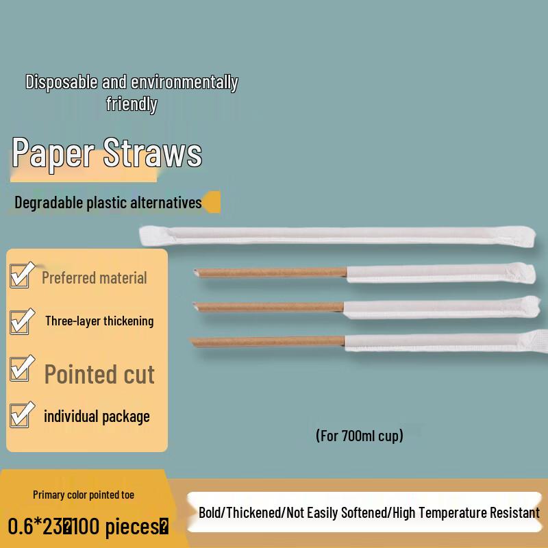 Homeglen Individually Wrapped Paper Straws