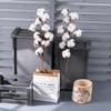 10-Head Natural Cotton Branches for Wedding Decoration Simulation Flowers Green Plants Handicrafts INS