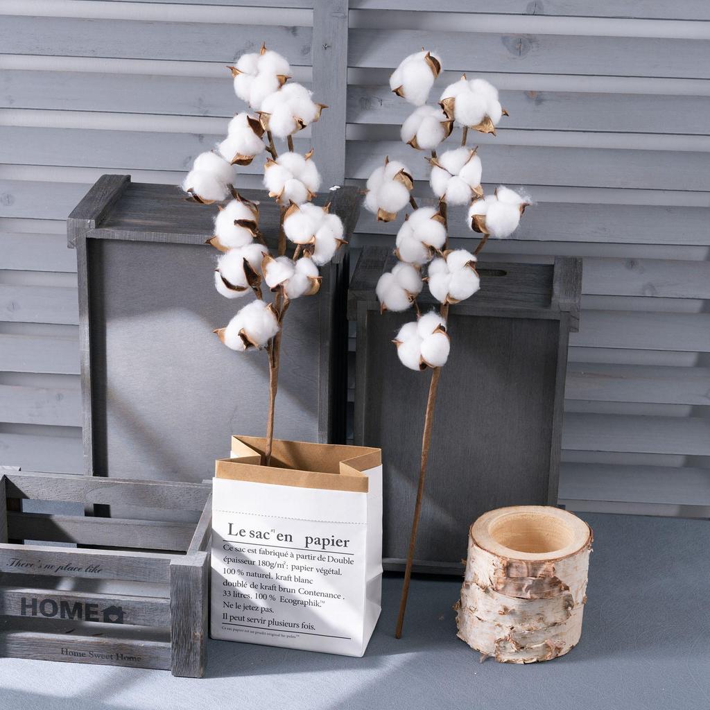 10-Head Natural Cotton Branches for Wedding Decoration Simulation Flowers Green Plants Handicrafts INS