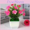 Camellia Sasanqua Miniature Artificial Plant Set With Flower And Pot For Home Decor And Gift