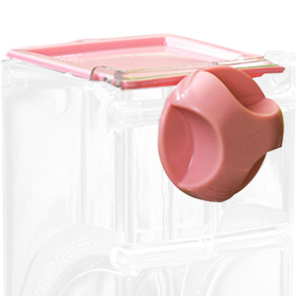 Automatic Bird Feeder Food Container Transparent Feeding Station Parakeet Treats Seed Container for Canary Budgies Finch Birds