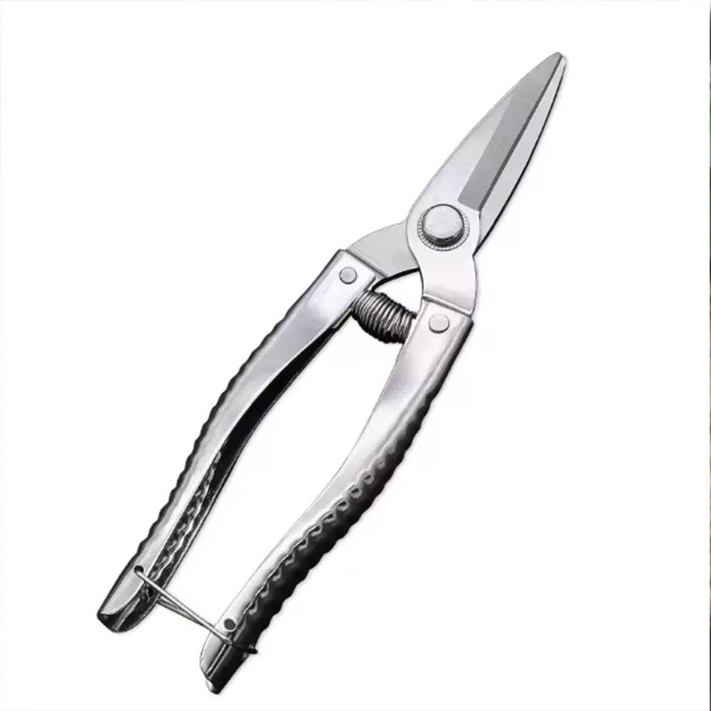 Straight Head Household Pruning Shears Stainless Steel Garden Branch Shear Gardening Tools