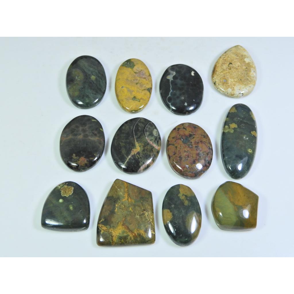 252Cts. Natural Ocean Jasper Mix Shape Cabochon Loose Gemstone 12 Pcs Lot C-307