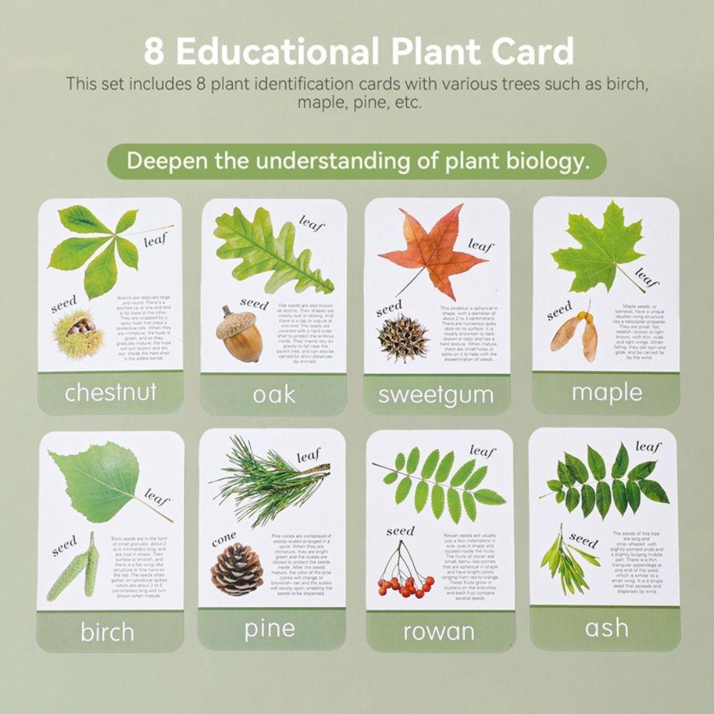 Montessori Magnifying Glass Toys Wooden Plant Cognition Cards  Kindergarten Kids