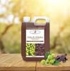 Renew Roots Amla Shikakai Shampoo For Smooth Soft And Refreshed Hair With Gentle Cleansing And Lightweight Lather Suitable For All Hair Types For