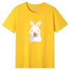 Summer New Short-sleeved T-shirt Female Cotton Loose Korean Cartoon Printing Half-sleeved Blouse