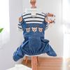 Combinaison Adorable pour Animaux de Compagnie Col Rond avec Anneau de Traction Motif Ours Dessiné Combinaison en Jean pour Chat Chien Animal de Compagnie Port Quotidien
