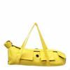 Cat Restraint Bag Zippered Paw Openings Anti-Scratch Foldable