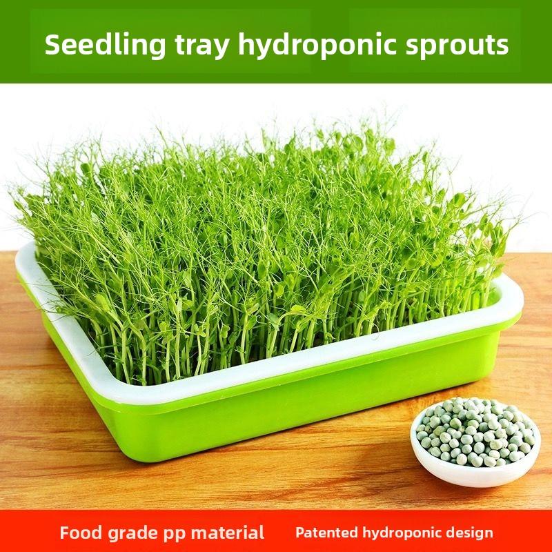 Balcony Garlic Planting Tray