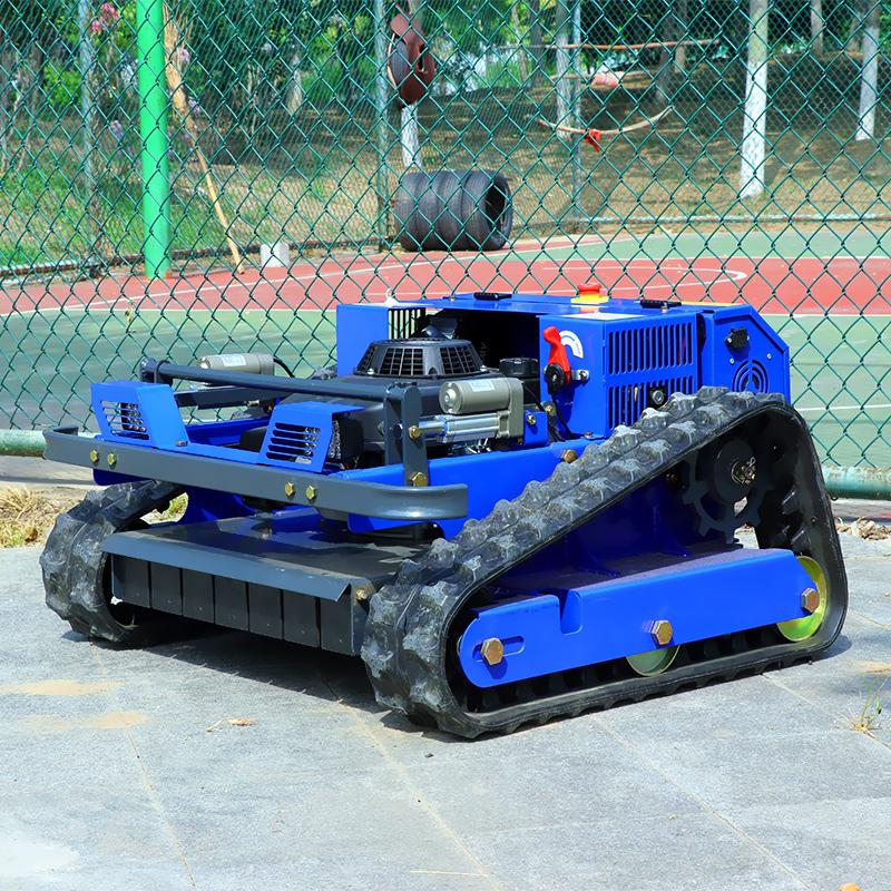 European Spot EPA CE Remote Mowing Equipment for Riverbank Dam Hillside Weed Removal Lawn Mower