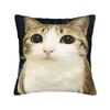 Pillow Cover Cat Owl Funny   Vintage Pillow Case For Chair Sofa Home Decor Pillowcases