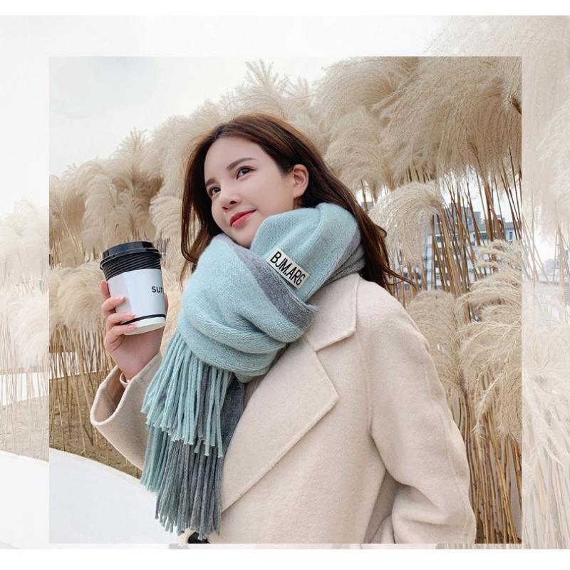 Autumn and Winter Casual Women's Imitation Cashmere Scarfs with Contrasting Colors Thick Insulation Soft Tassel Long Scarf