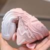 2-8 Jahre alte Mädchen Sportschuhe Fußlänge 12-17cm Kinderschuhe Koreanisches Leder Dad-Schuhe Lila/rosa Licht
