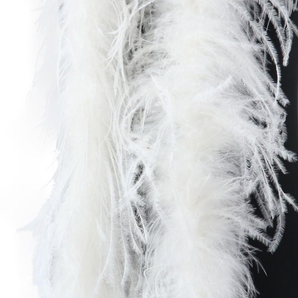 Feather Trim Scarf Add Glamour to Your Outfit with 2M Ostrich Feathers
