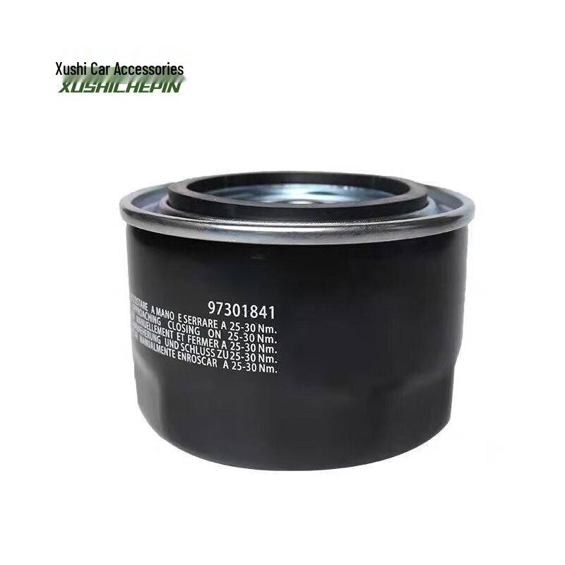 Xushi Automotive Parts for Nanjing Iveco C300