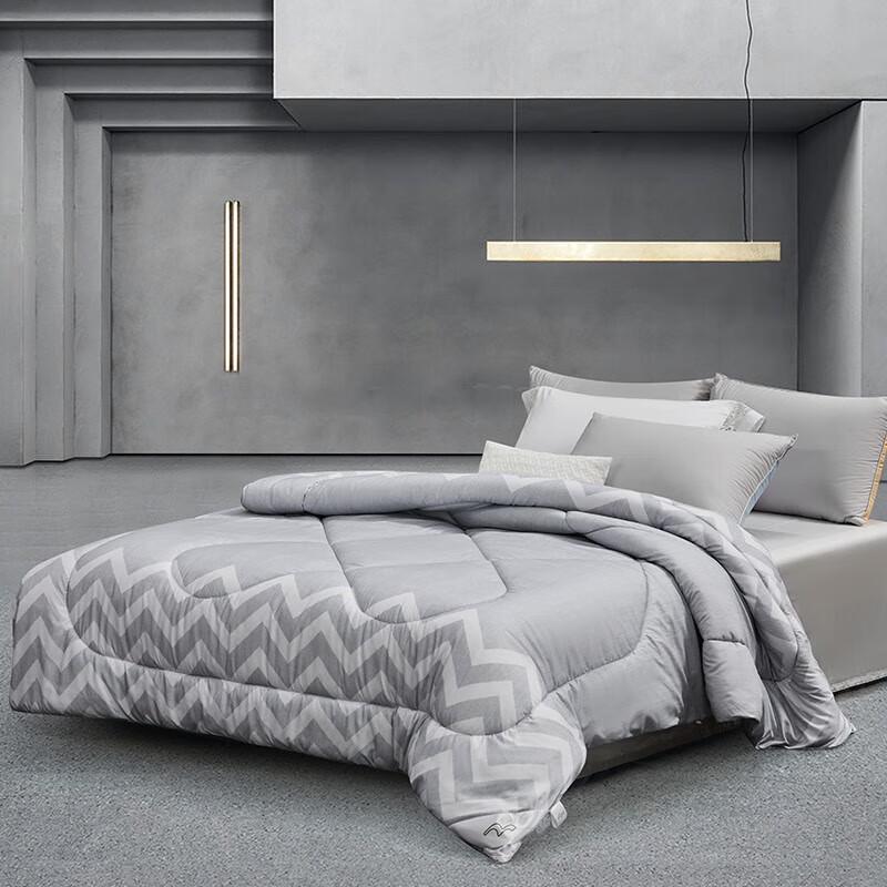 

Mercury Home Textiles DH Elegant Negative Ion Antibacterial All-Season Fiber Quilt