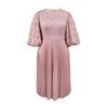 Plus Size Lace Lantern Sleeve Dress with Pleated Skirt - Christmas Gift