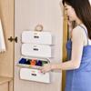 Wardrobe Side-Hanging Underwear and Socks Storage Dust-Proof Box, Simple Korean-Style Multi-Layer Organizer