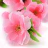 10pcs 65CM Pink Artificial Flowers Bouquet for Home Room Decor Wedding Decoration Garden Fake FlowerS Arrangement Outdoor DIY Ornament